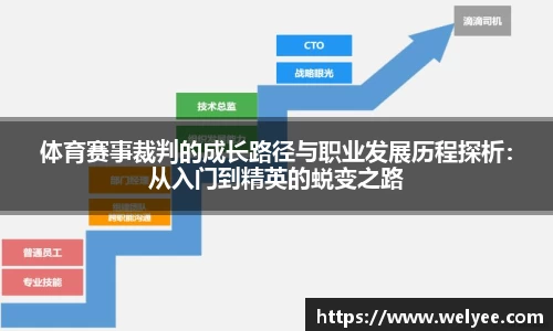 体育赛事裁判的成长路径与职业发展历程探析：从入门到精英的蜕变之路